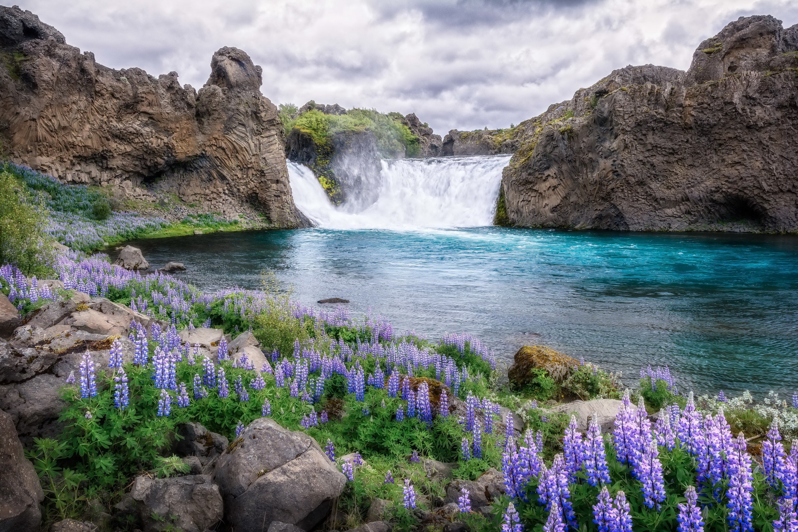 water, Waterfall, Flowers, Plants, Nature Wallpaper