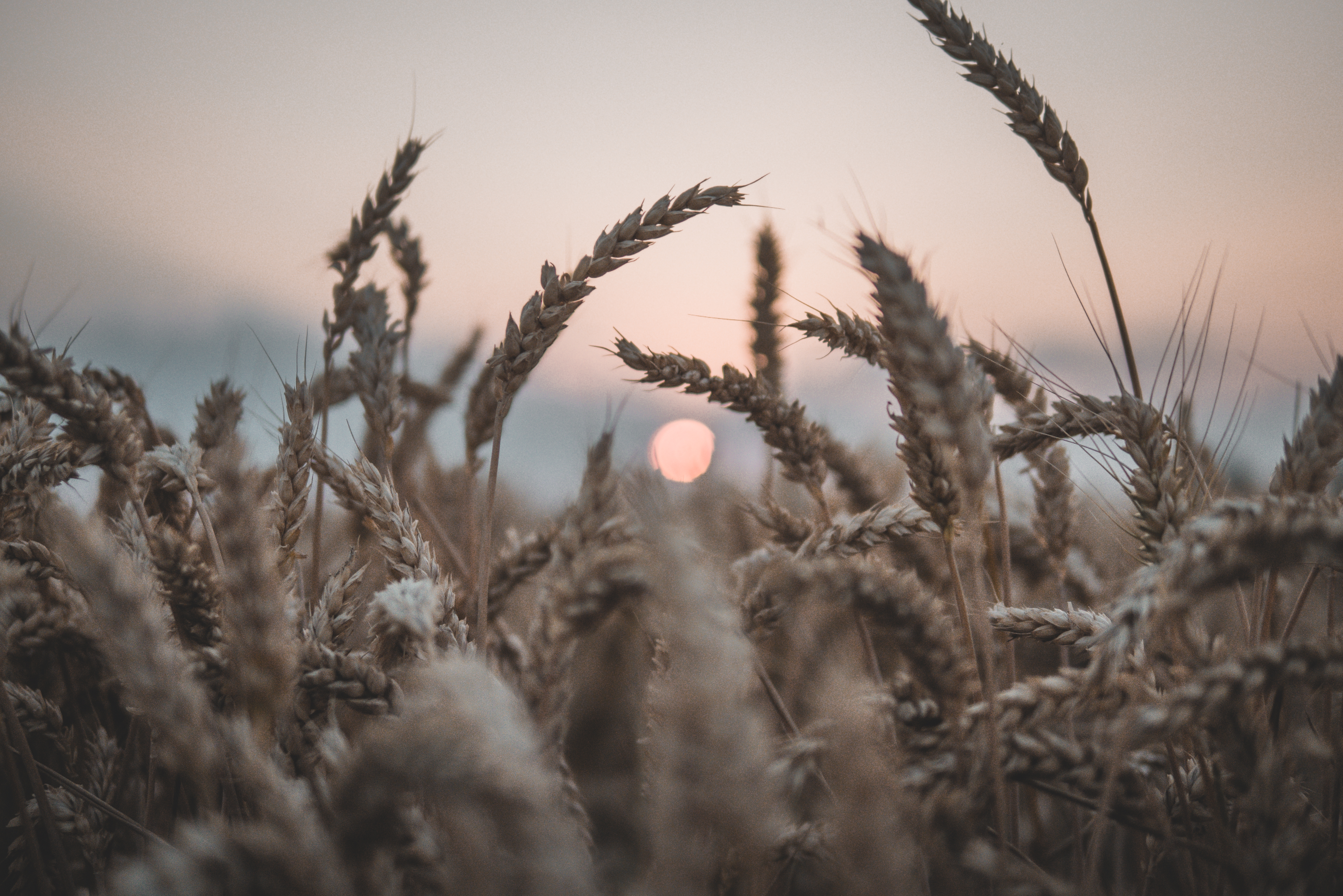 landscape, Sunset Wallpaper