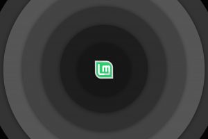 Linux, Linux Mint, Circle, Black,  grey, Green, Simple background