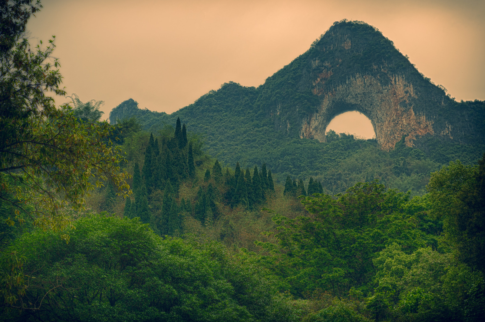 nature, Landscape, Trees, Forest, China, Moon Hill, Rock Wallpaper