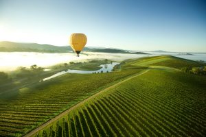 nature, Landscape, Trees, Hot air balloons, Aerial view, Vineyard, Lake, Mist, Hills, Dirt road, Clear sky, Yarra Valley, Australia