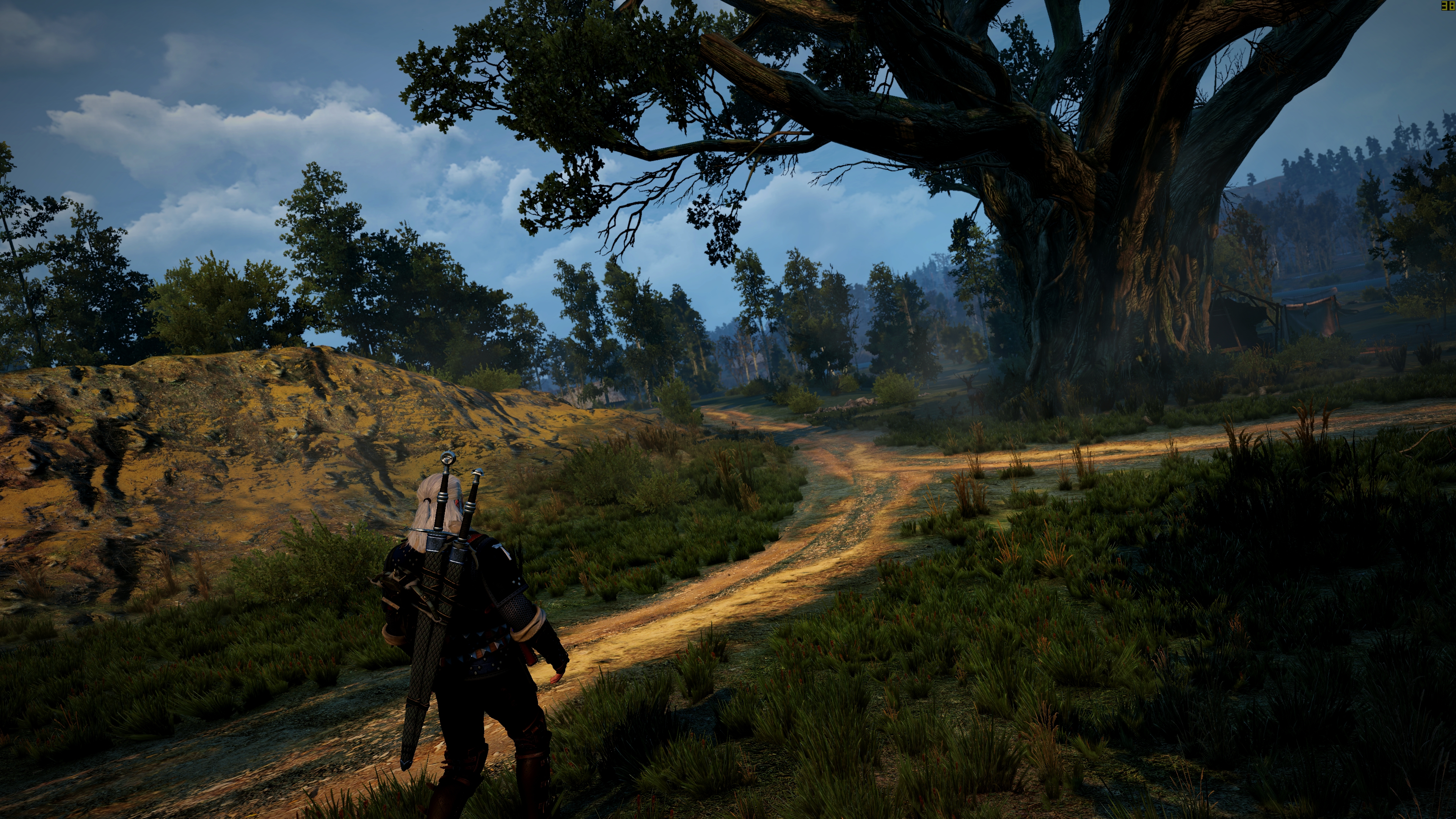 The Witcher 3 Wallpaper