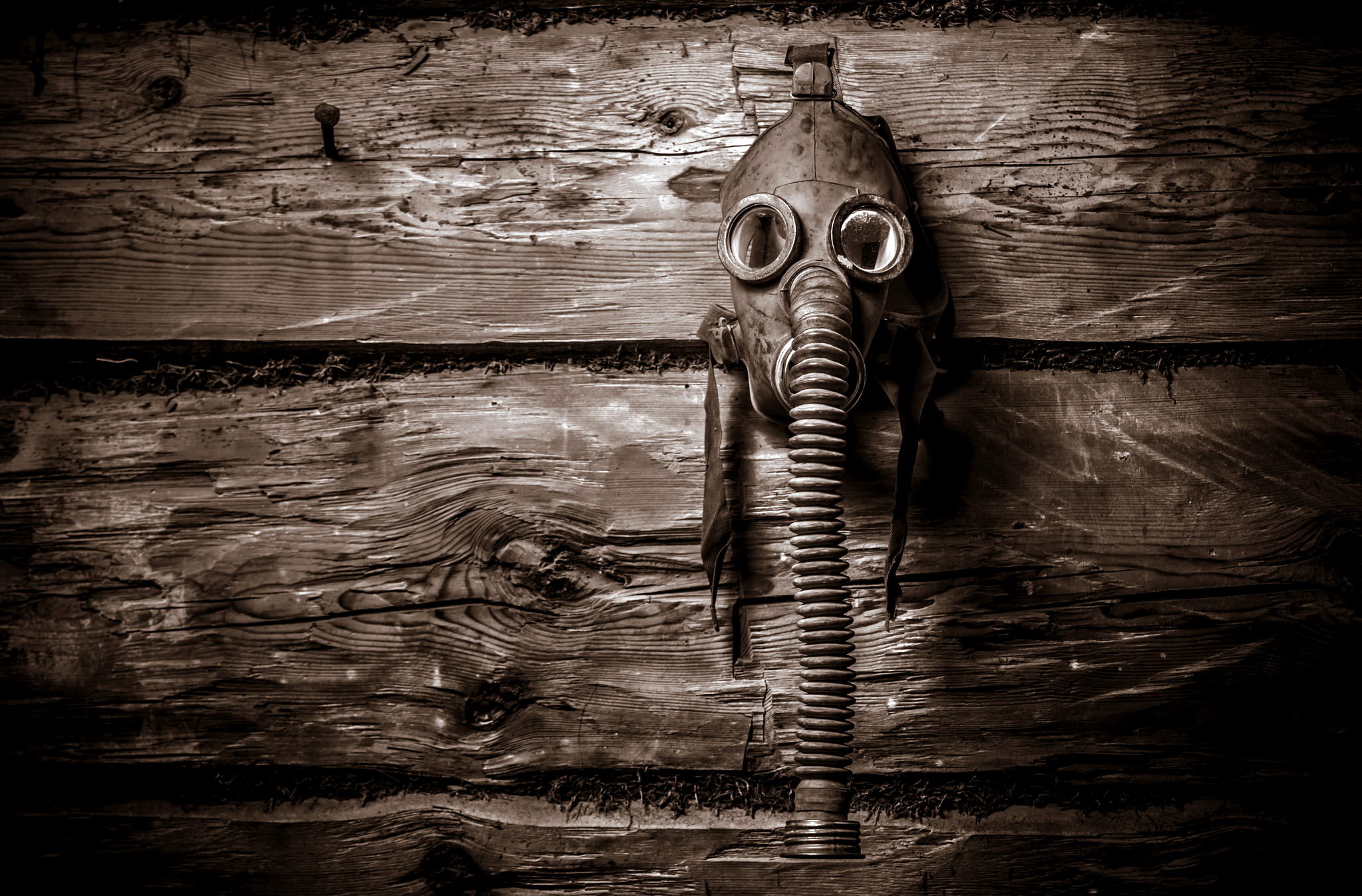 wood, Gas masks Wallpaper