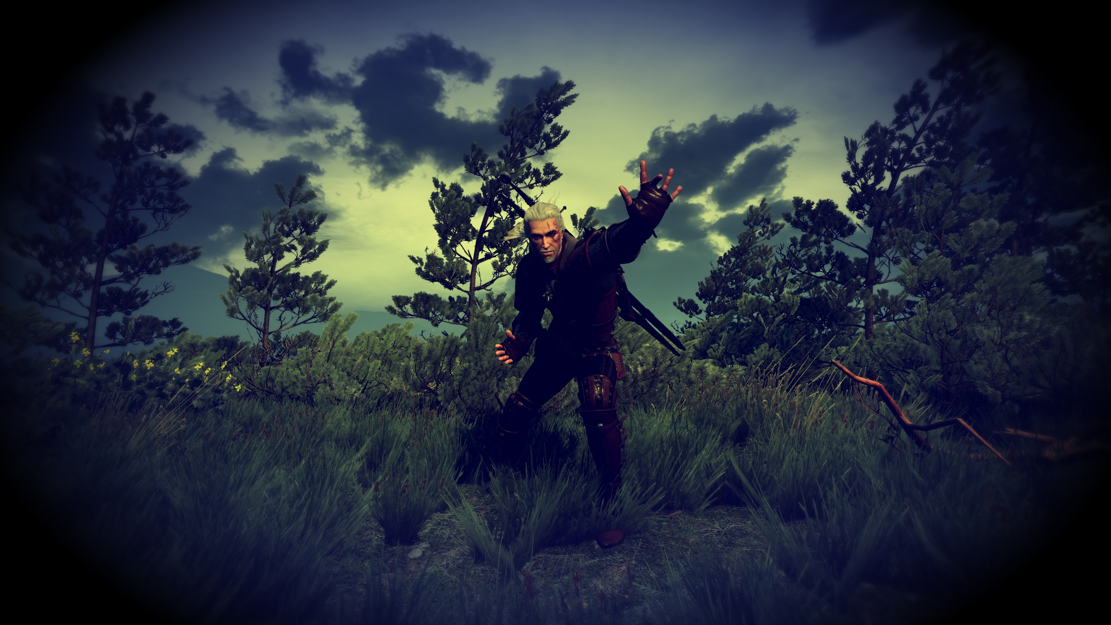 The Witcher 3 Wallpaper