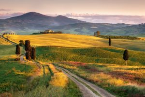Tuscany, Landscape, Italy