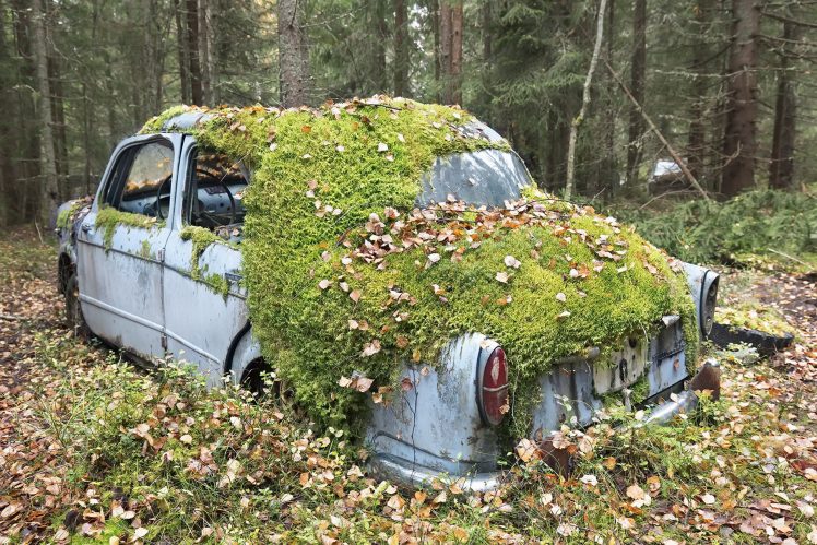 car, Vehicle, Wreck, Fallen leaves, Abandoned HD Wallpaper Desktop Background