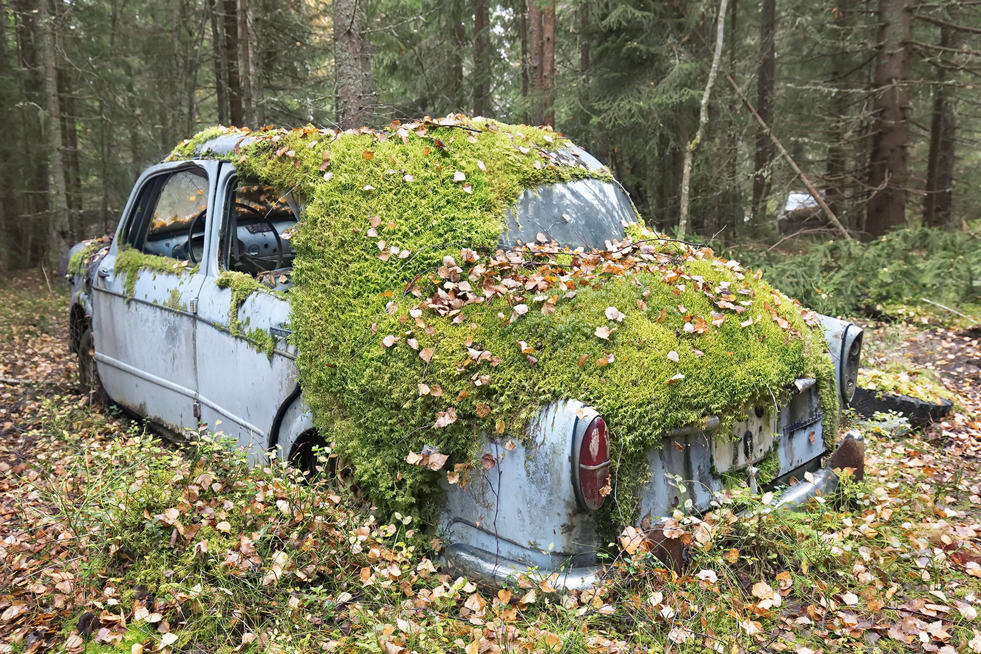 car, Vehicle, Wreck, Fallen leaves, Abandoned Wallpaper