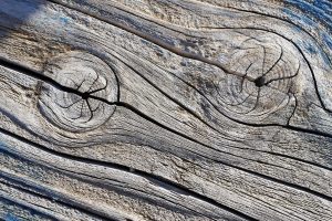 texture, Wood