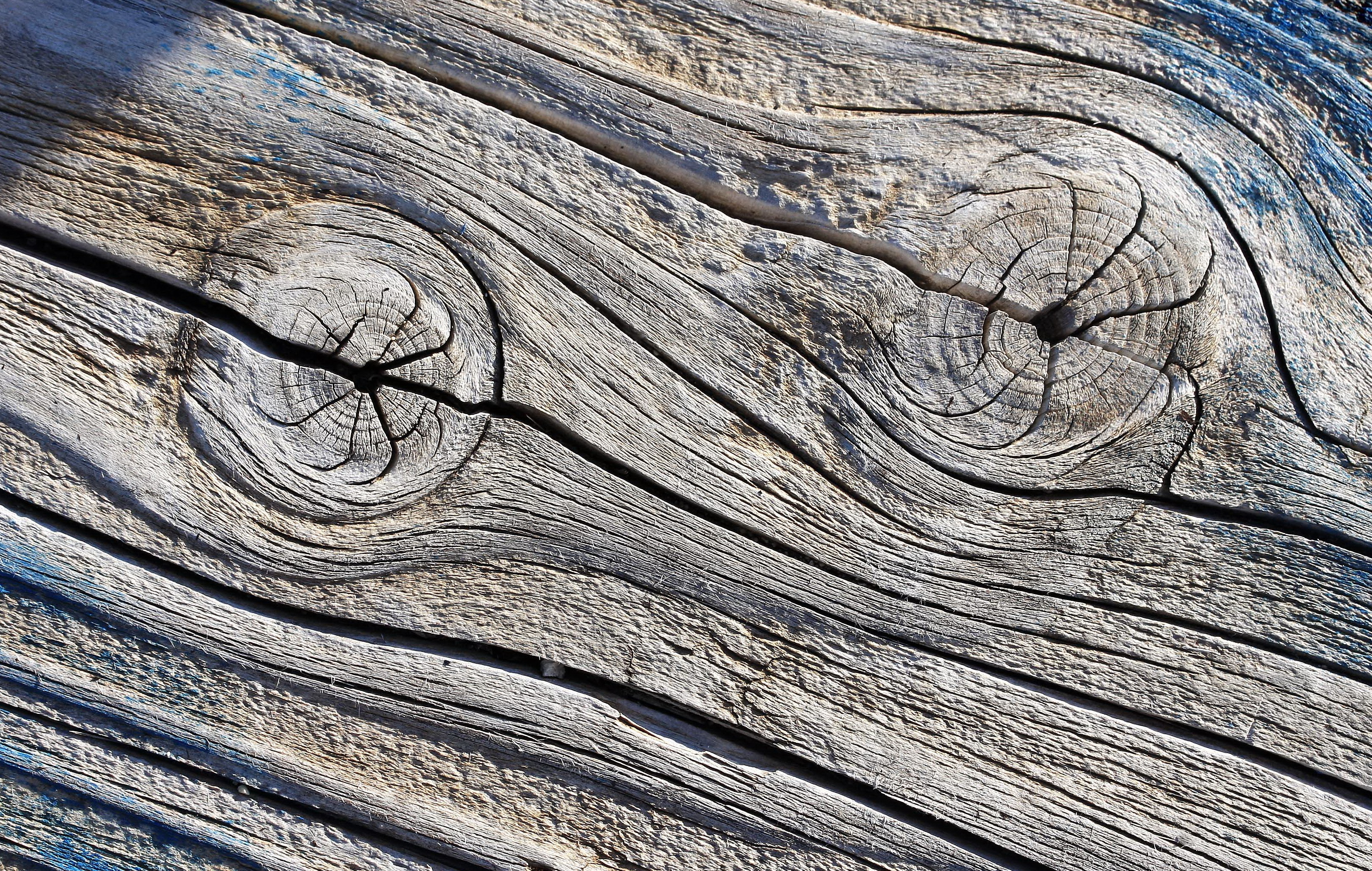 texture, Wood Wallpaper