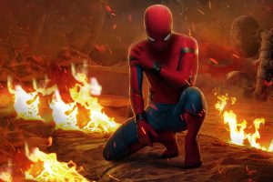 Spider Man: Homecoming (2017), Marvel Cinematic Universe, Spider Man