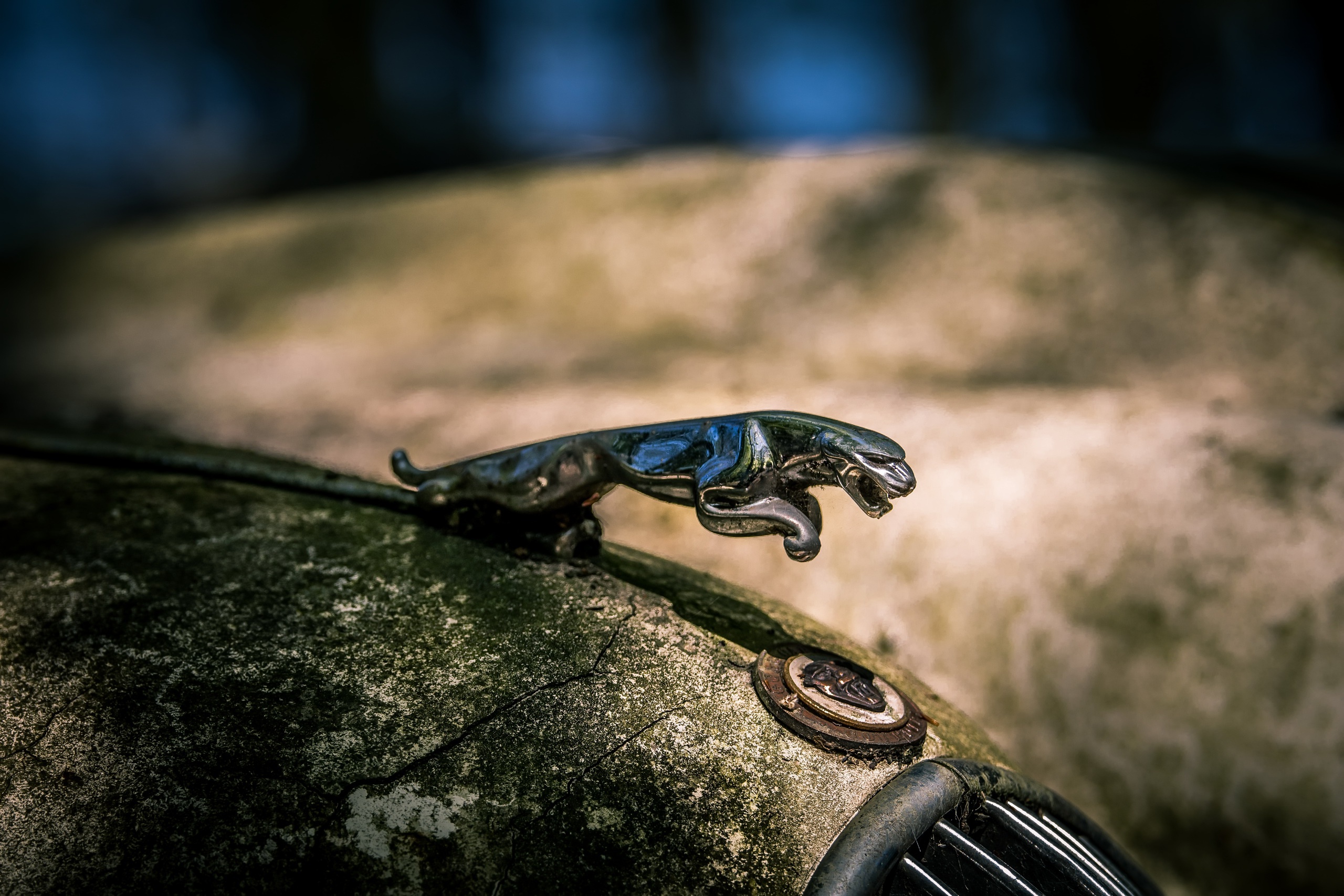 Jaguar, Old, Car, Macro, Vehicle Wallpaper