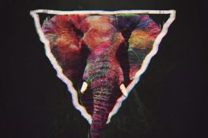elephant, Abstract, Animals, Triangle, Glitch art