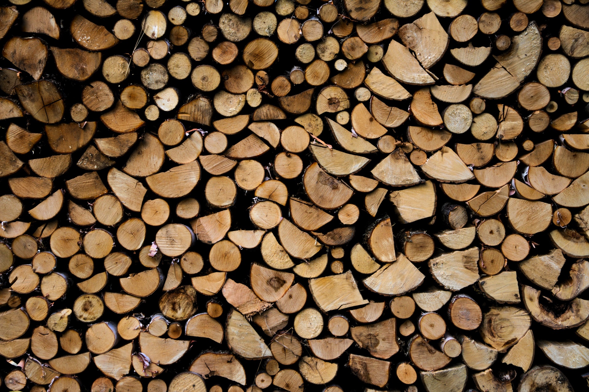wood, Texture Wallpaper