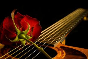 guitar, Red, Musical instrument, Red flowers, Flowers