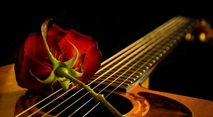 guitar, Red, Musical instrument, Red flowers, Flowers HD Wallpaper Desktop Background