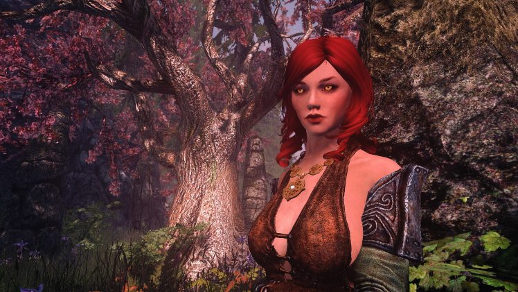 women, The Elder Scrolls V: Skyrim, Armor, RPG HD Wallpaper Desktop Background