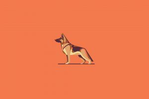 dog, Illustration, Orange background