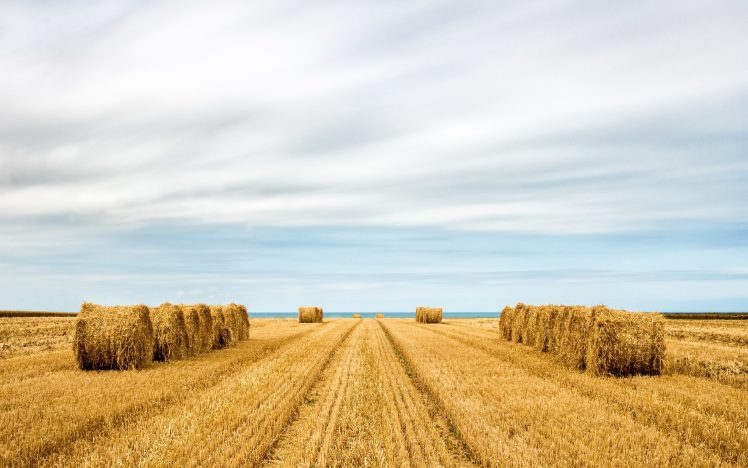 landscape, Field, Sky HD Wallpaper Desktop Background