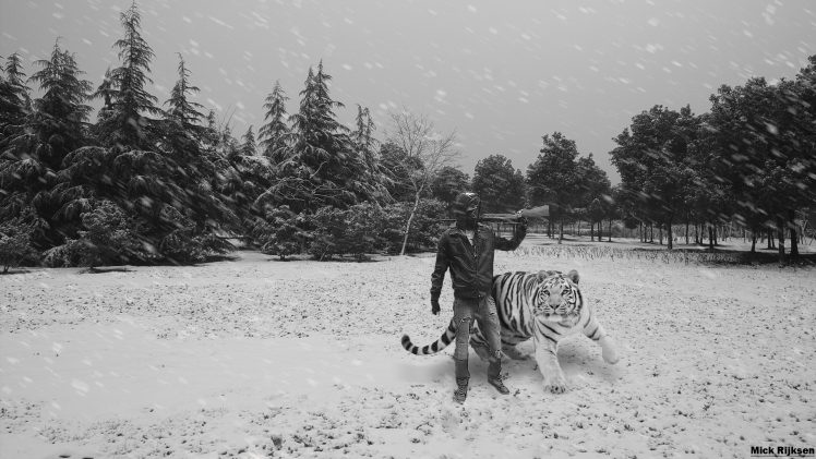 hunter, Tiger, Snow HD Wallpaper Desktop Background