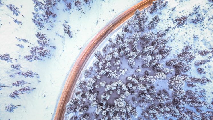 winter, Pine trees, Snow, Road, Forest, Cold HD Wallpaper Desktop Background