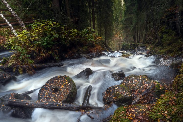 long exposure, River, Nature, Forest, Water HD Wallpaper Desktop Background
