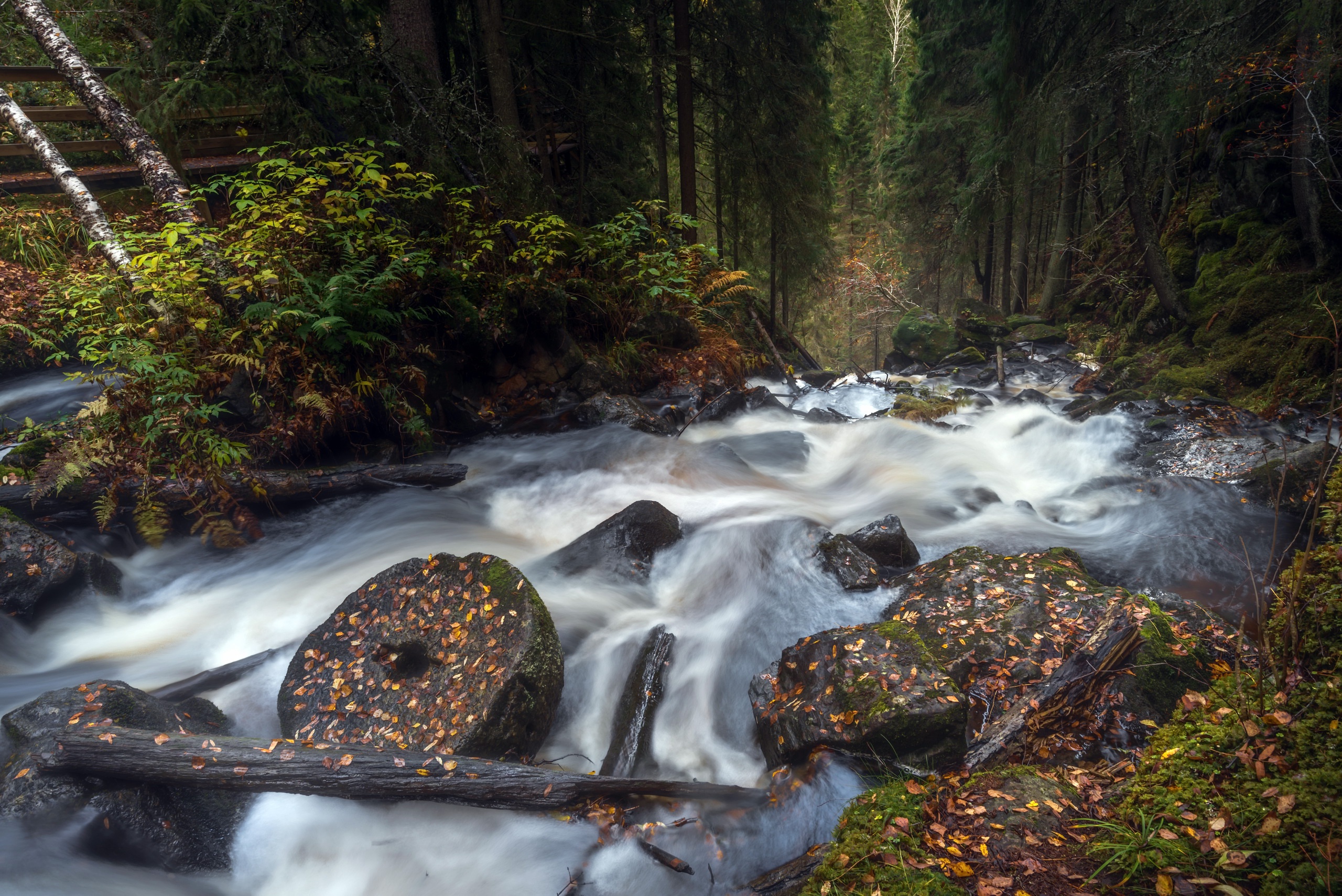 long exposure, River, Nature, Forest, Water Wallpaper