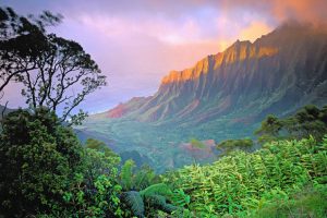 cliff, Forest, Hawaii, Mountains, Landscape, Island