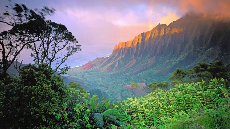 cliff, Forest, Hawaii, Mountains, Landscape, Island HD Wallpaper Desktop Background