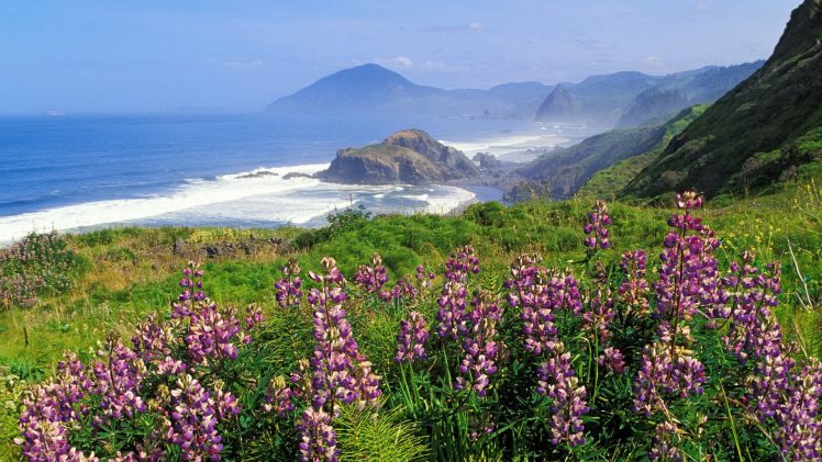 flowers, Sea, Cliff, Mountains, Landscape, Coast HD Wallpaper Desktop Background