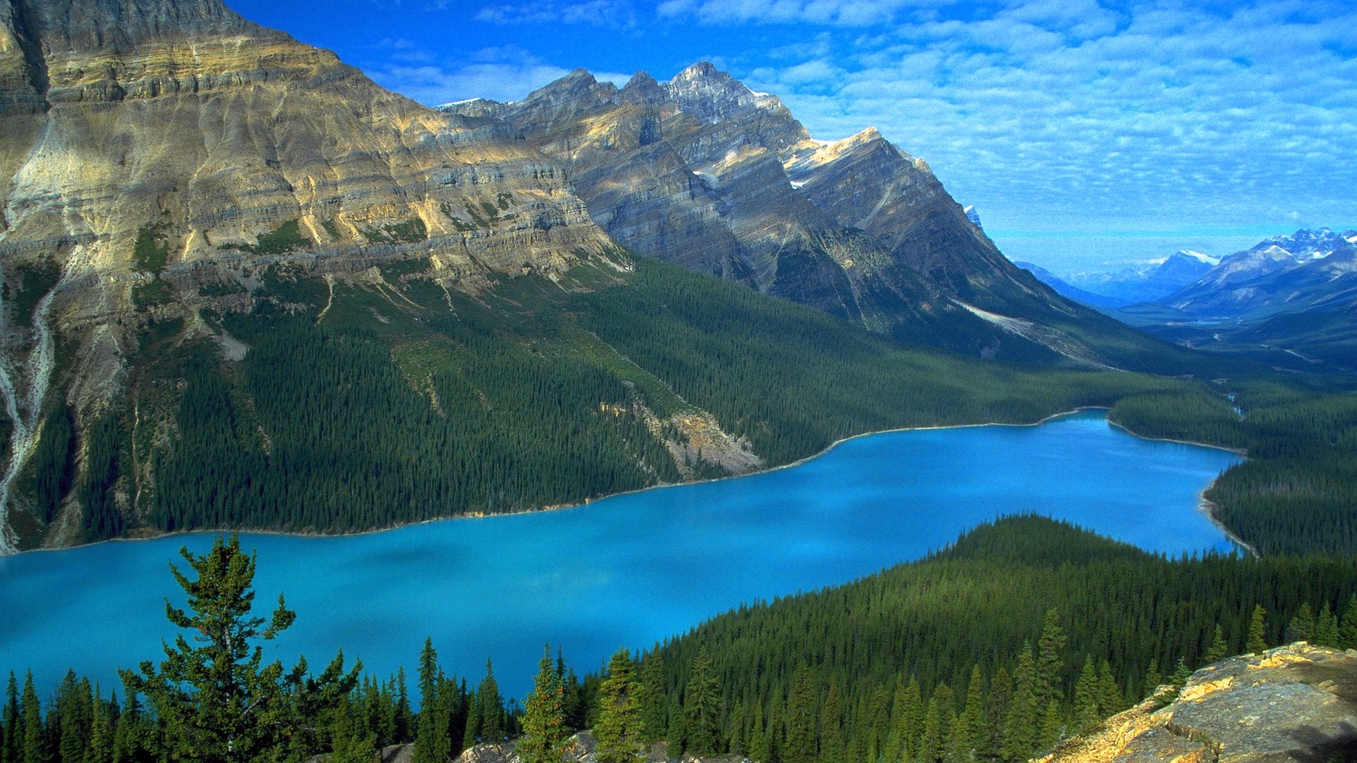 mountains, Lake, Forest, Landscape Wallpaper