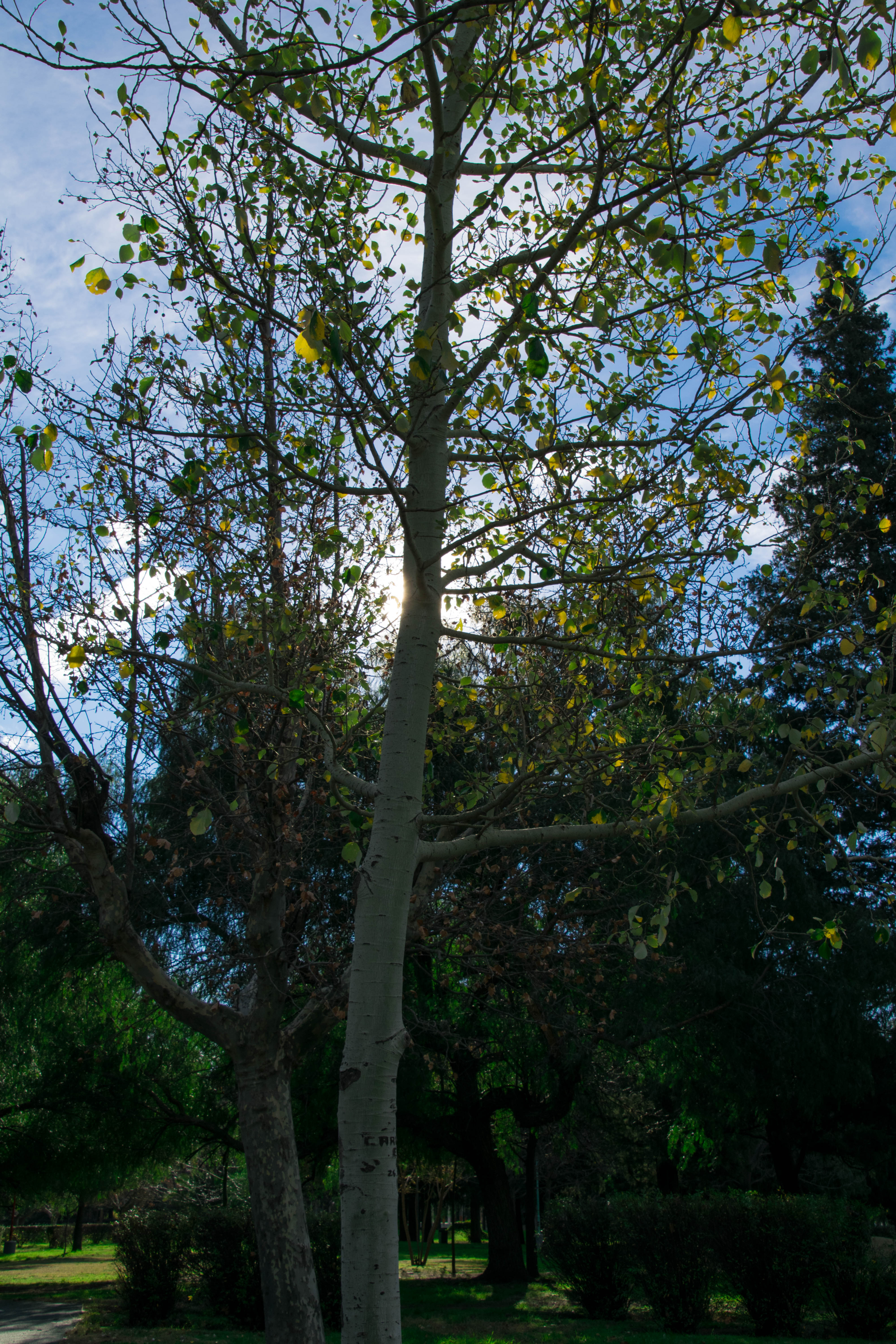 landscape, Nature Wallpaper