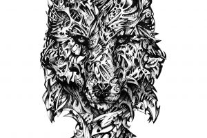 wolf, Portrait display
