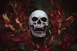Artem Phoenix, Skull, Flowers, Plants, 500px