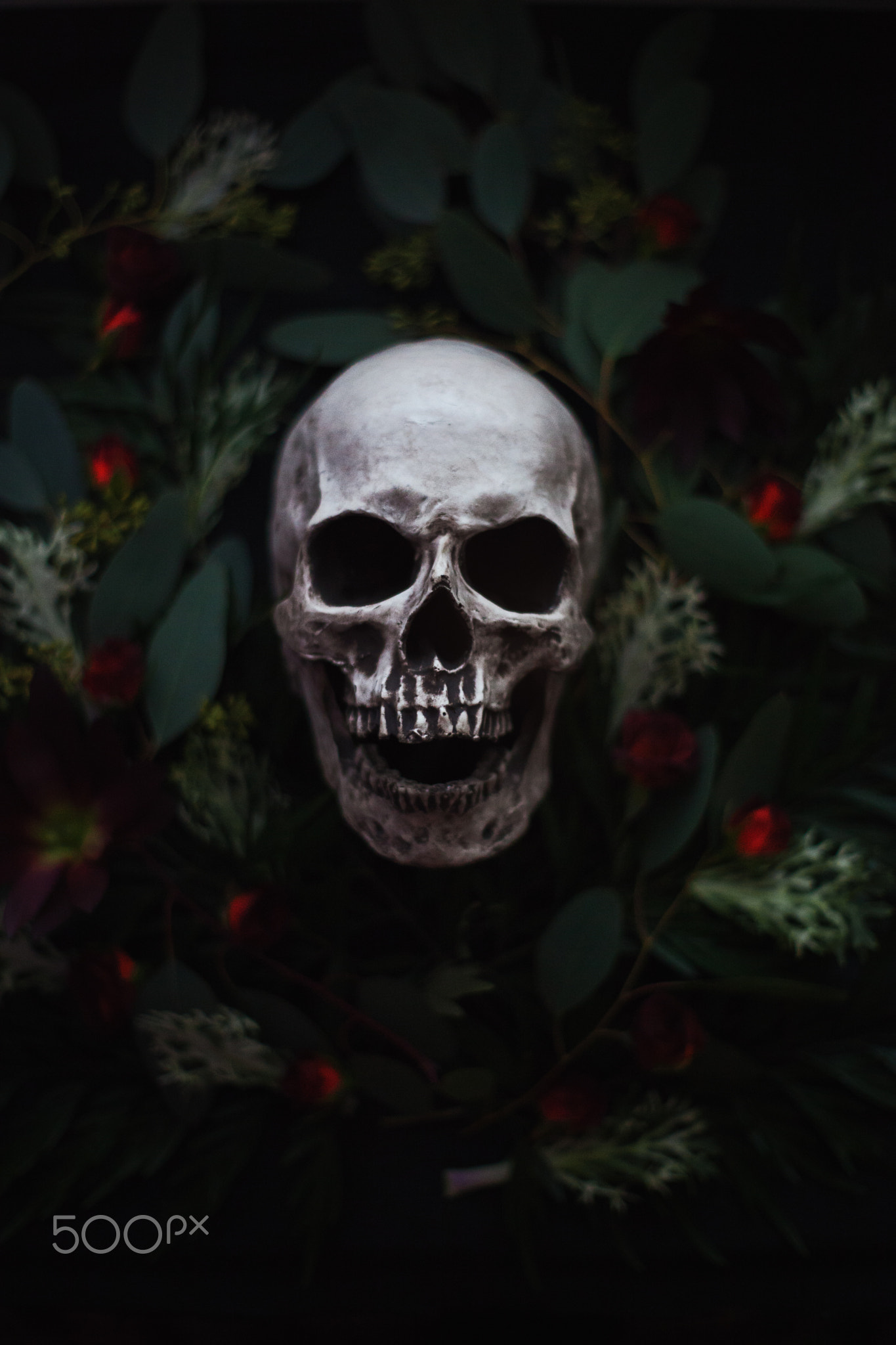 Artem Phoenix, Skull, Flowers, Plants, 500px Wallpaper