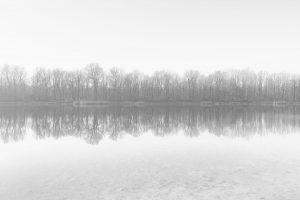 photography, Cold, Sky, Landscape, Relfection, Mist, Forest, Lake