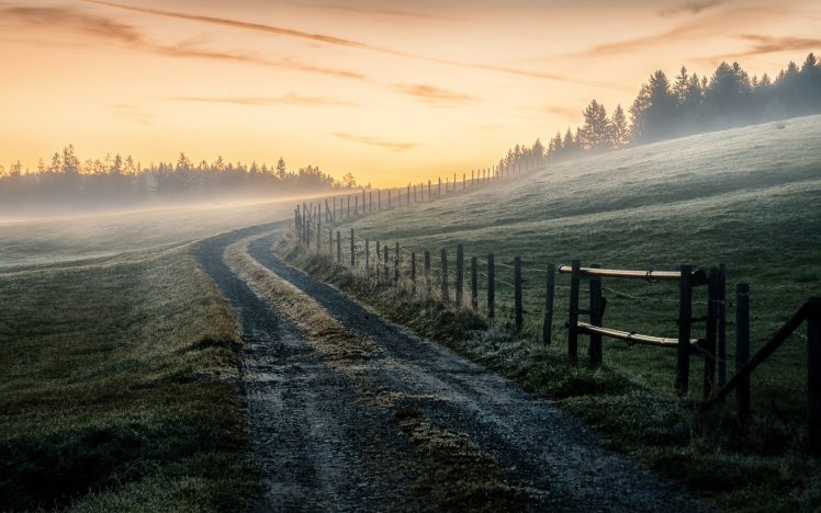 nature, Landscape, Sky, Mist, Sunrise, Morning, Dirt road, Fence, Trees HD Wallpaper Desktop Background