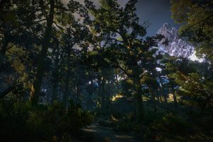 The Witcher 3: Wild Hunt, Video games, Skellige