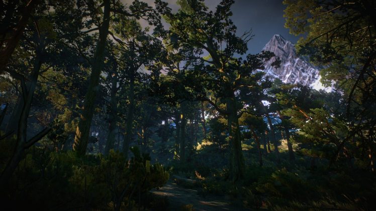 The Witcher 3: Wild Hunt, Video games, Skellige HD Wallpaper Desktop Background