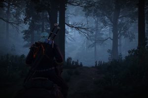 Geralt of Rivia, The Witcher 3: Wild Hunt, Video games, Skellige