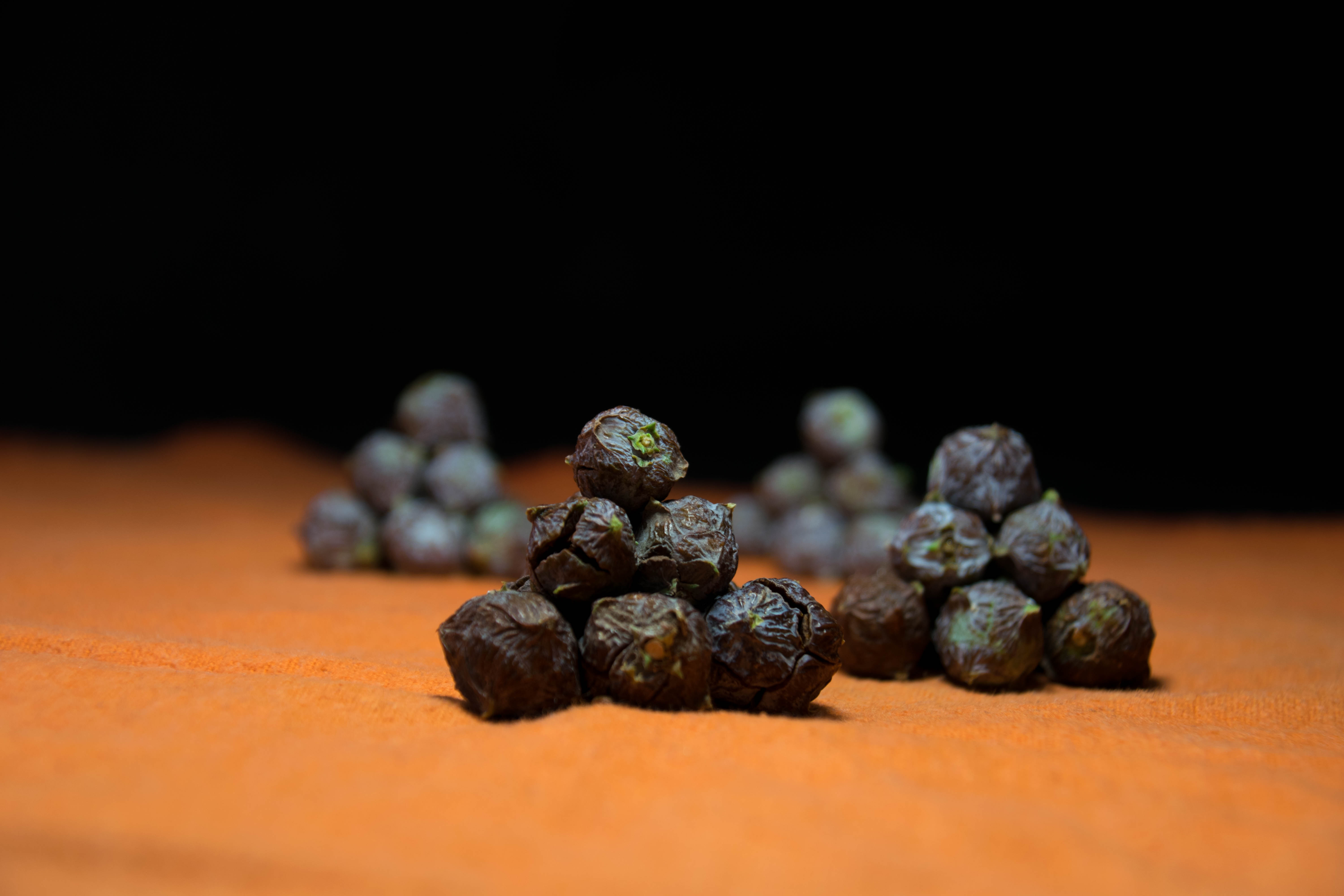 seeds, Nature, Plants Wallpaper