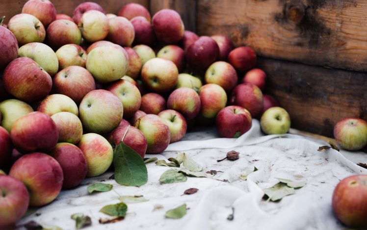 food, Fruit, Apples HD Wallpaper Desktop Background