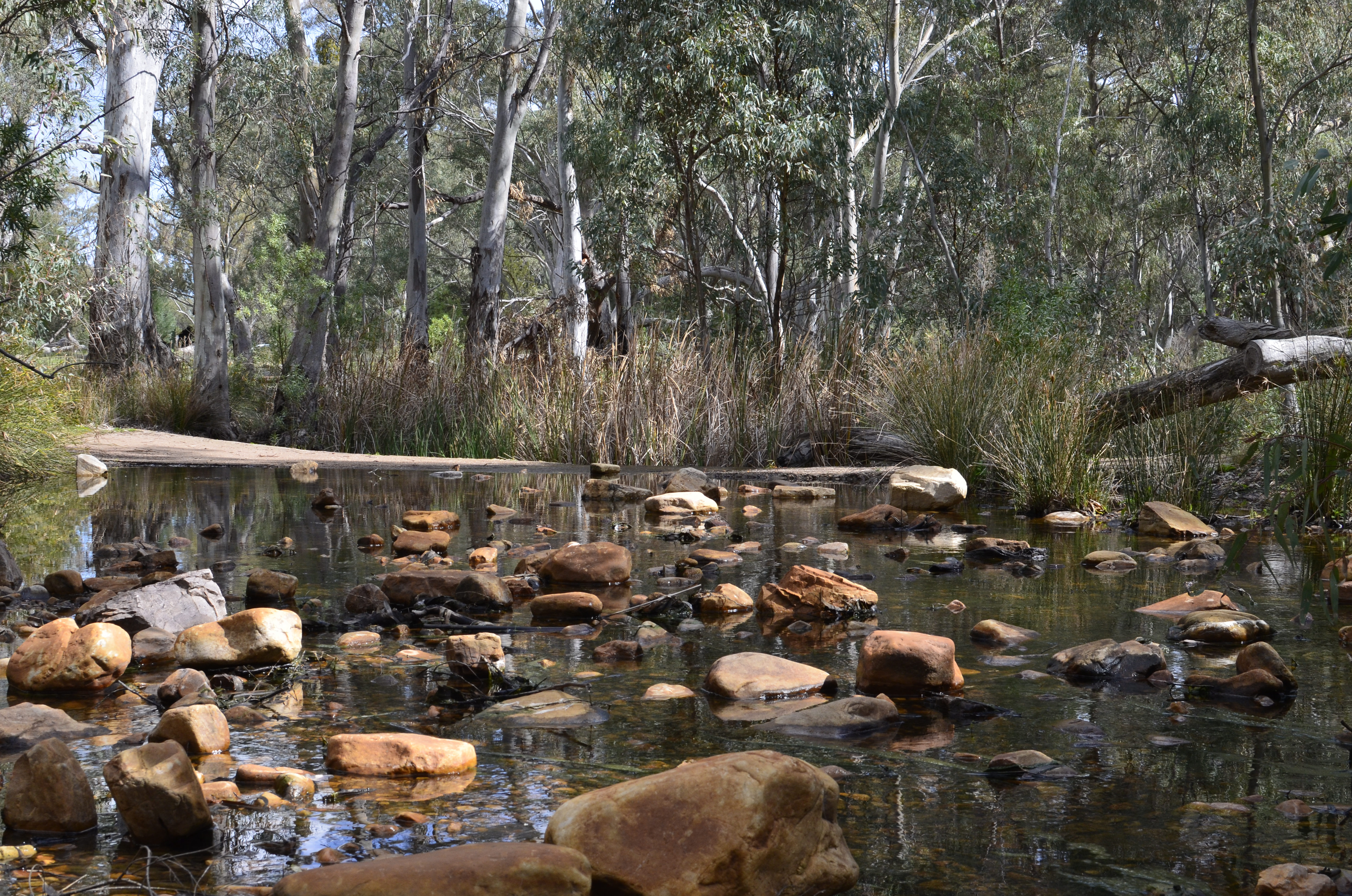 Mambray Creek, Water Wallpaper