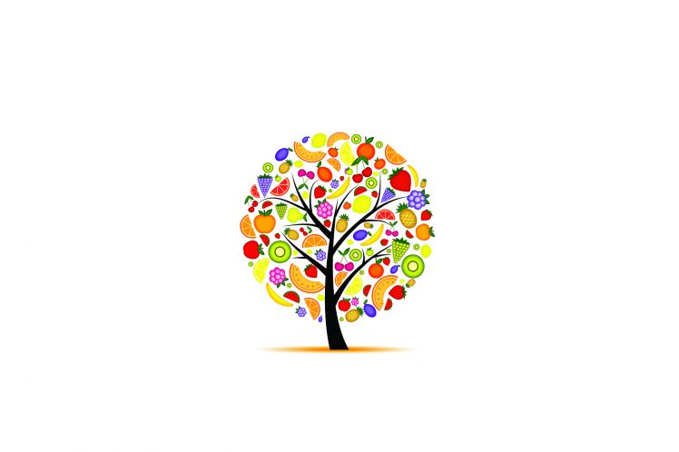 minimalism, Trees, Artwork, Colorful, Fruit HD Wallpaper Desktop Background