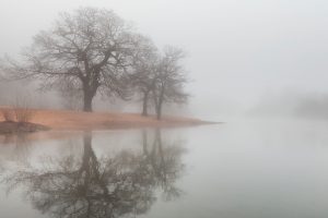 mist, Water, Reflection, Nature, Trees