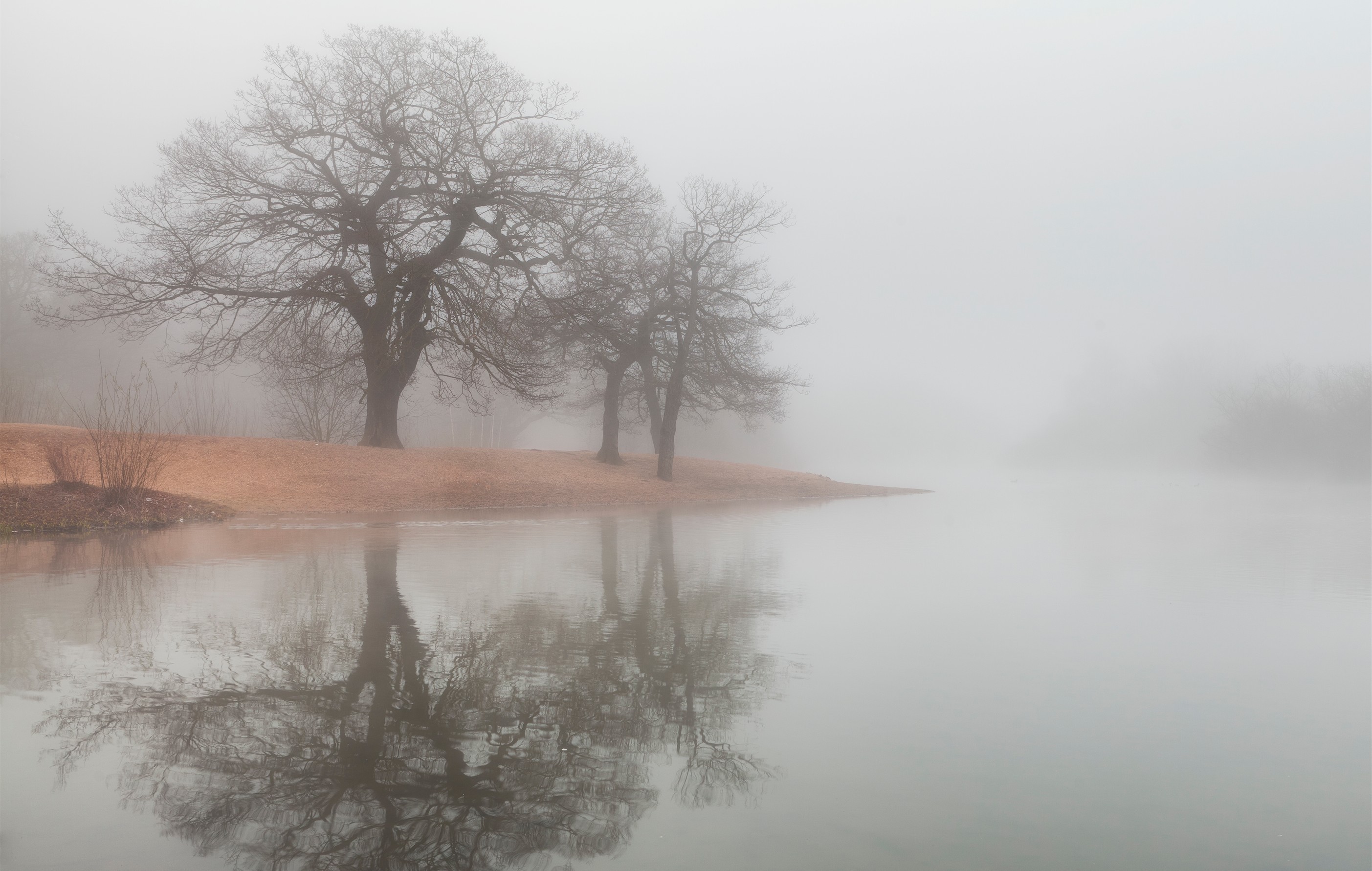 mist, Water, Reflection, Nature, Trees Wallpaper
