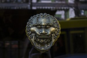 lion,  door handle
