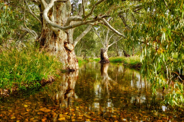 south australia, Melrose, Stream, Landscape HD Wallpaper Desktop Background