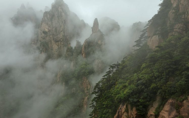 nature, Landscape, Mountains, Trees, Mist, Forest, Rock HD Wallpaper Desktop Background