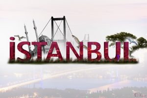 Istanbul, City, Bridge, Trees, Mosque, Birds
