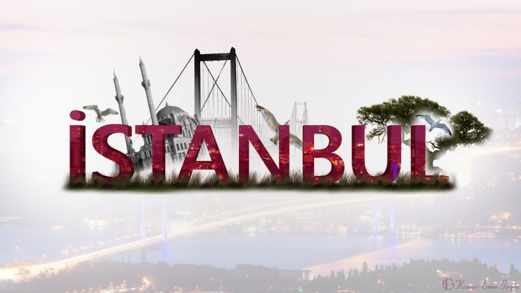 Istanbul, City, Bridge, Trees, Mosque, Birds HD Wallpaper Desktop Background